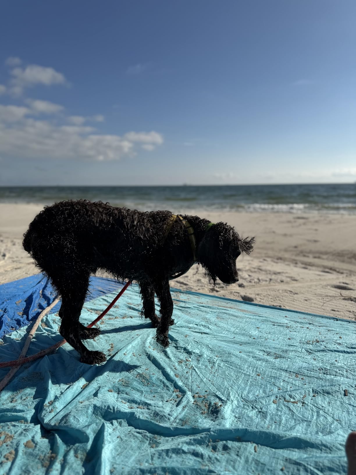 Mila™ | Sandproof Beach Blanket with Corner Pockets - mildlymama